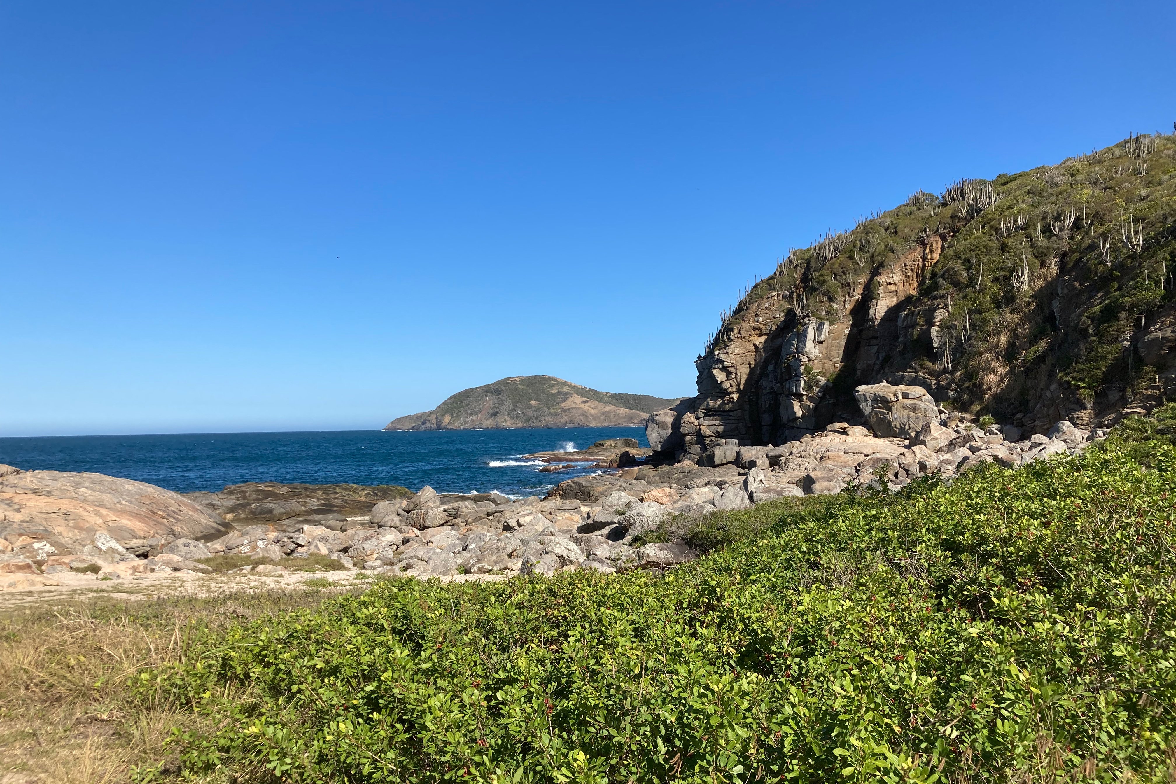 2022-07-04 2 Coastal habitat at Praia das Conchas