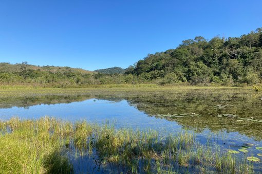 2022-07-07 2 REGUA wetlands David Walsh